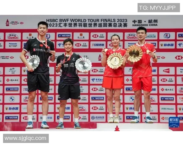 深圳羽毛球队总决赛表现分析与状态评估全面解读