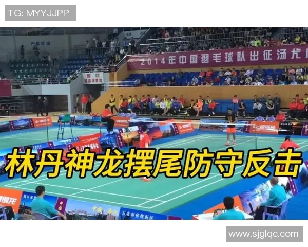 上海羽毛球队反击之路的得失与启示分析 上海羽毛球队反击之路的得失与启示分析