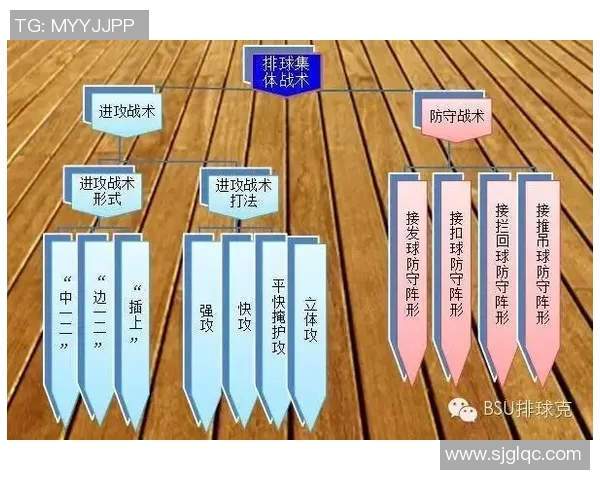 成都排球队在城市联赛中的灵活性表现及其战术分析 成都排球队在城市联赛中的灵活性表现及其战术分析