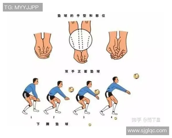 排球新手必看:轻松掌握团队协作技巧与实战策略 排球新手必看:轻松掌握团队协作技巧与实战策略