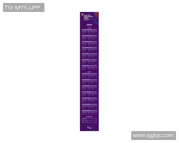 深圳羽毛球队在欧锦赛中的精彩表现与实力分析