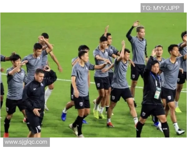 西安排球队在锦标赛中的团队协作表现分析与点评