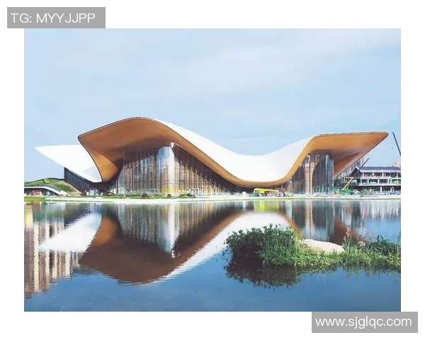 成都排球队的蜕变之旅：从传统强队到现代化竞技新标杆