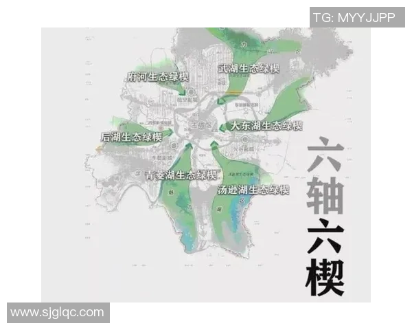 武汉排球队控制打法深度分析与战术解读