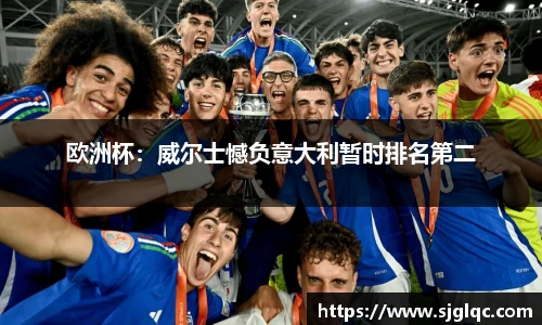 欧洲杯：威尔士憾负意大利暂时排名第二